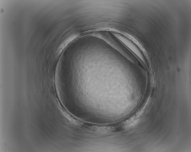 X0000067481289200604071129