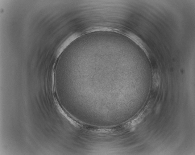 X0000067481290200604071129