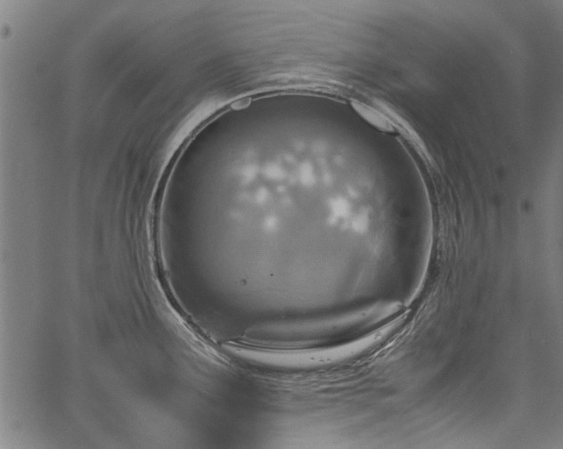 X0000067481291200604071129