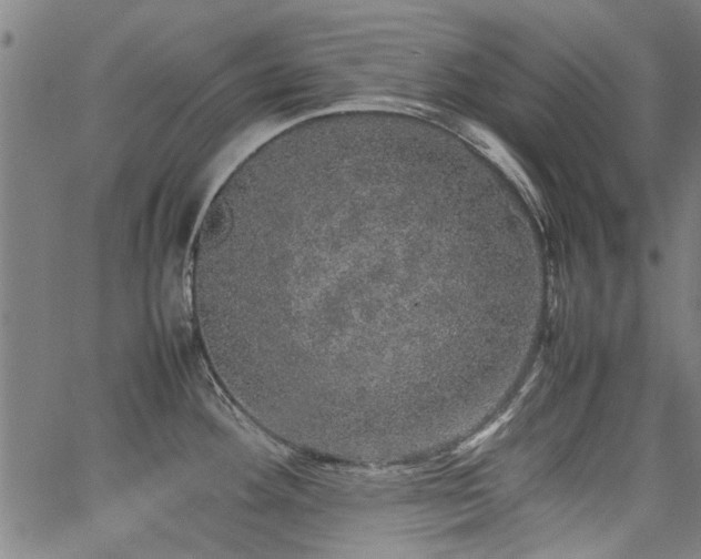 X0000067481292200604071129