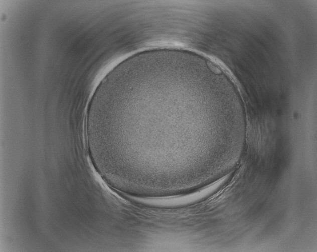 X0000067481295200604071129