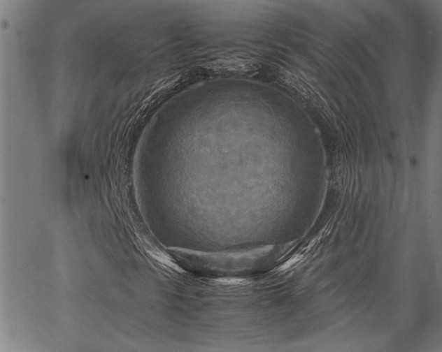 X0000067481297200604071128