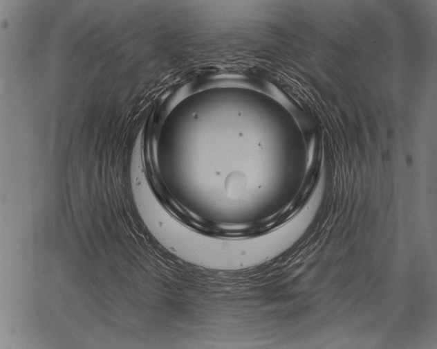 X0000067481298200604071128