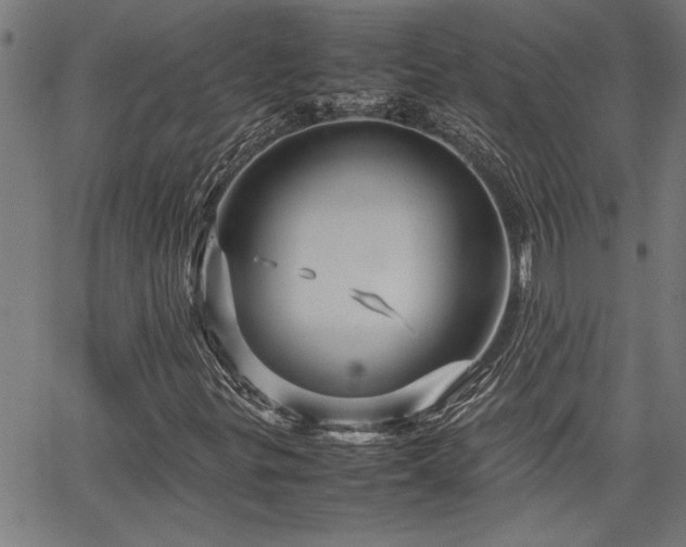 X0000067481299200604071128