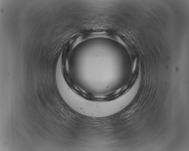 X0000067481300200604071128