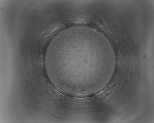 X0000067481301200604071128