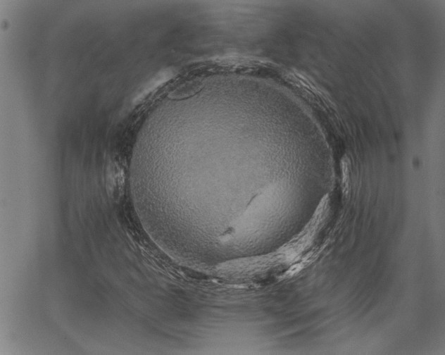 X0000067481302200604071128