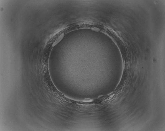 X0000067481303200604071128