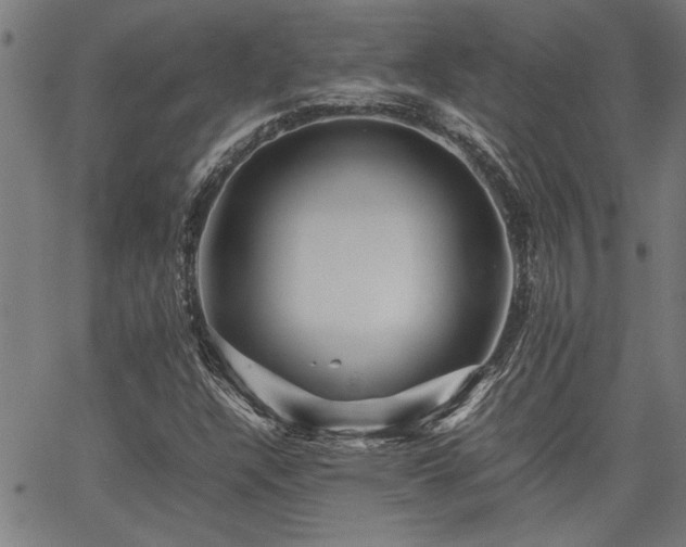 X0000067481304200604071128