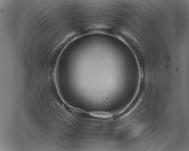 X0000067481305200604071128