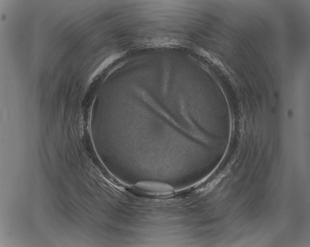 X0000067481306200604071129