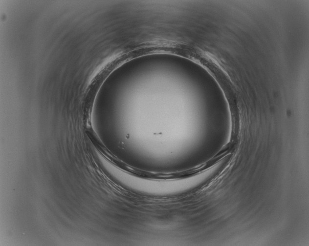 X0000067481307200604071129