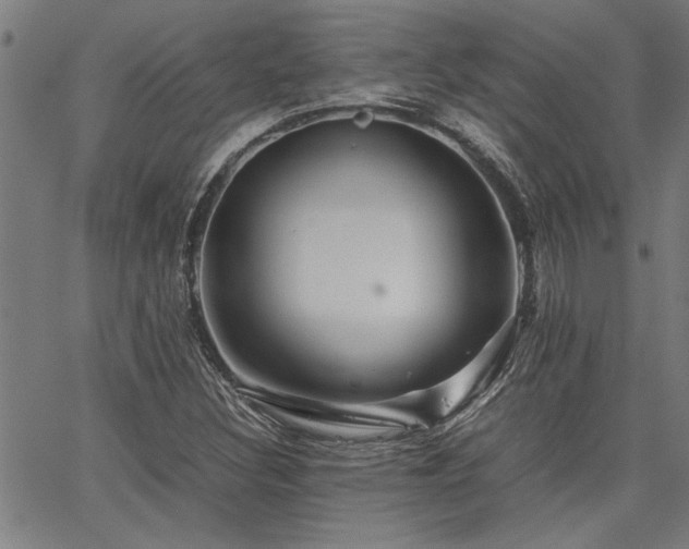 X0000067481308200604071129