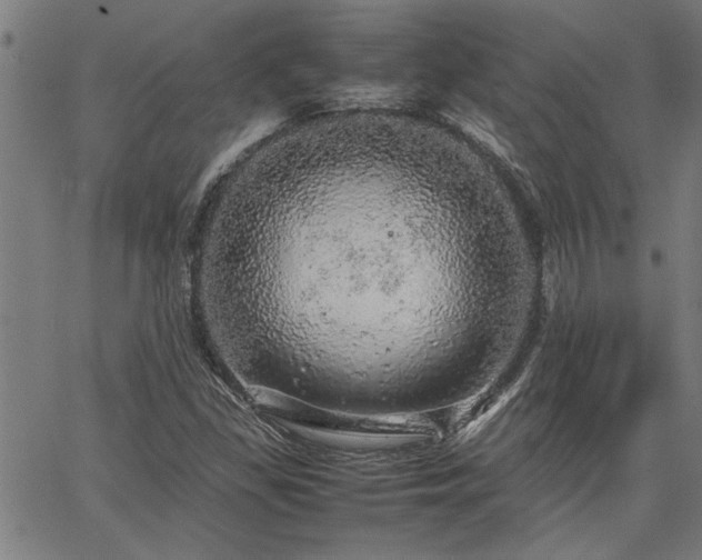 X0000067481309200604071129