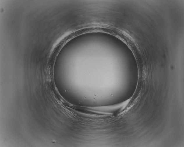 X0000067481310200604071129