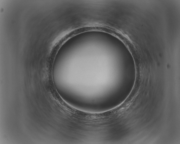 X0000067481311200604071129