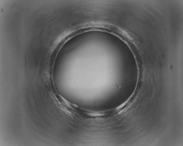 X0000067481312200604071129