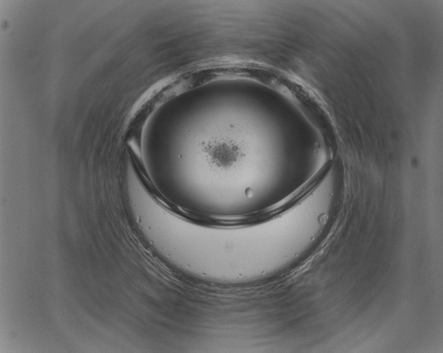 X0000067481314200604071129