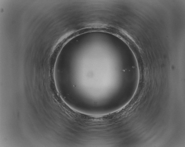 X0000067481315200604071129