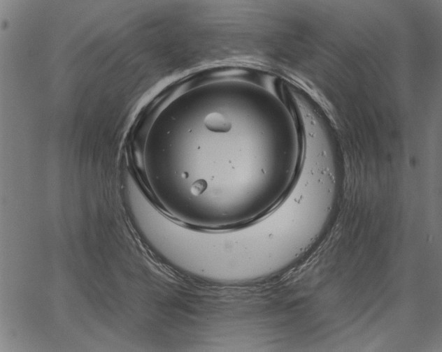 X0000067481316200604071129