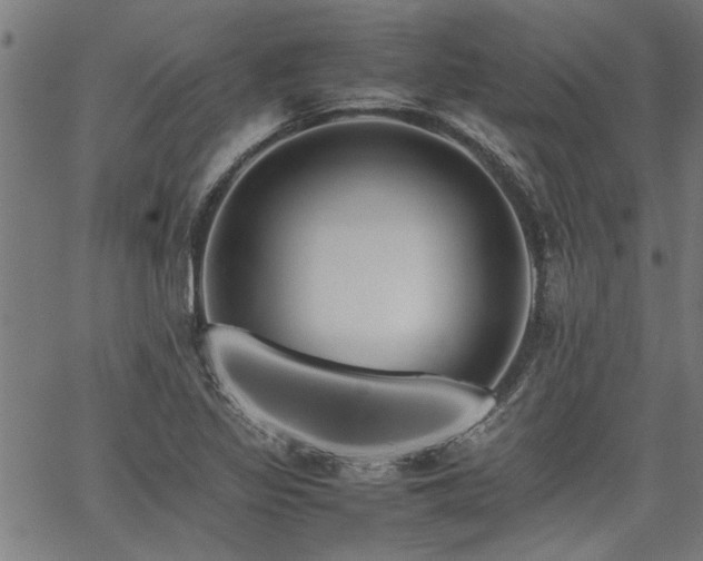 X0000067481317200604071129