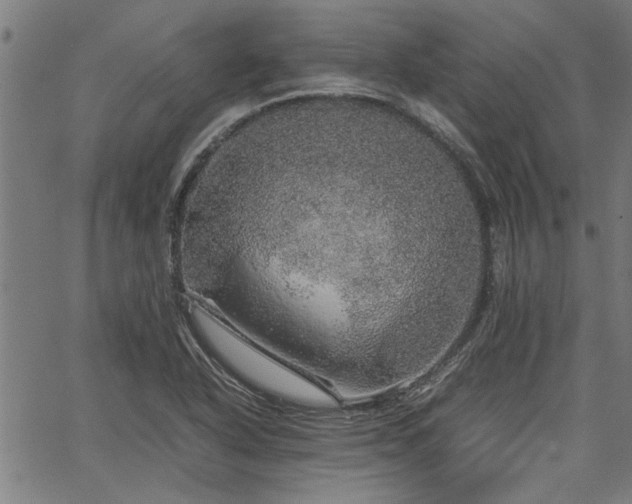 X0000067481318200604071129