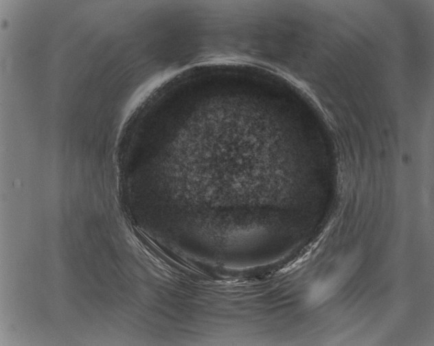 X0000067481319200604071129