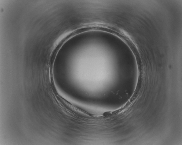 X0000067481320200604071129