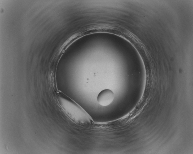 X0000067481321200604071129