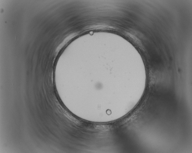 X0000067481322200604071129