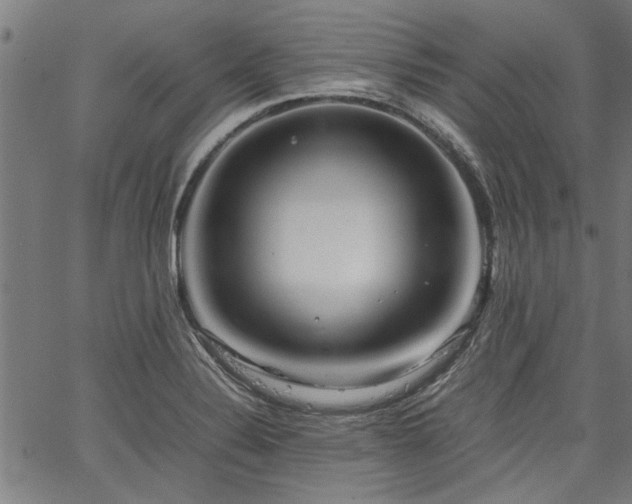 X0000067481324200604071129