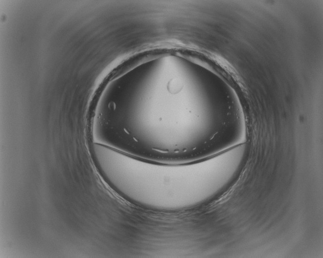 X0000067481326200604071129