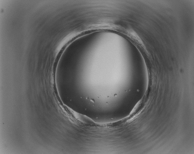 X0000067481328200604071129