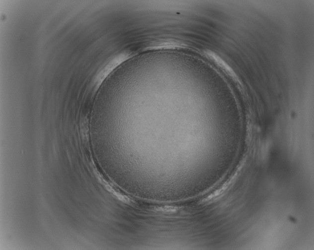 X0000067481329200604071129