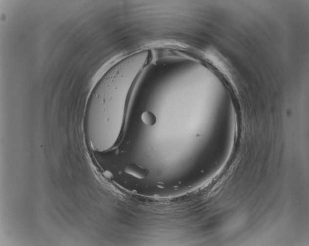 X0000067481330200604071129