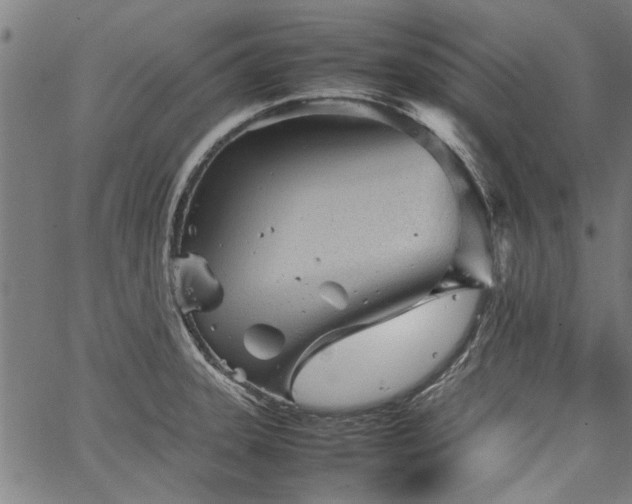 X0000067481331200604071129