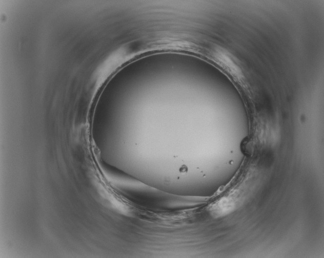 X0000067481332200604071129