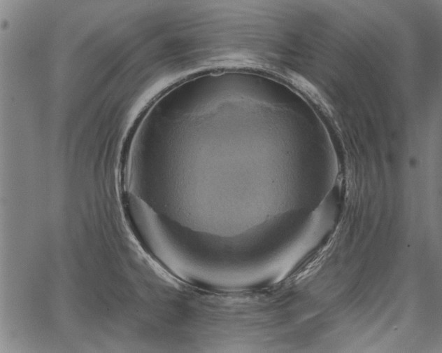 X0000067481334200604071129