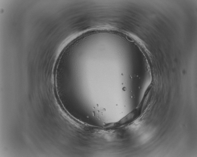 X0000067481335200604071129