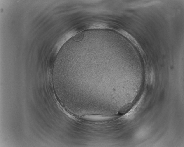 X0000067481337200604071129