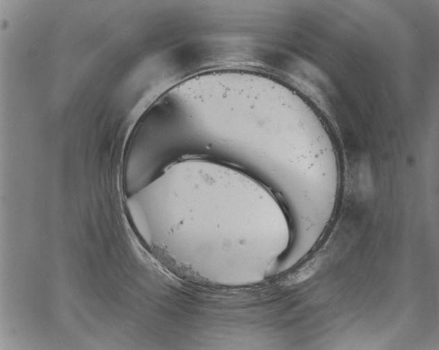 X0000067481338200604071129