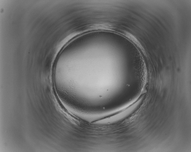 X0000067481339200604071129