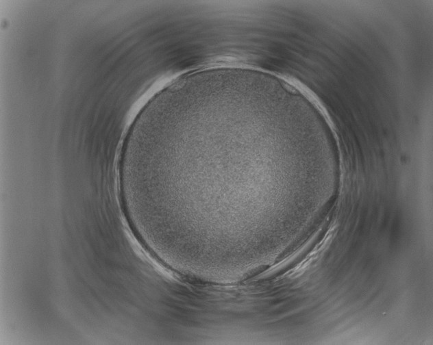 X0000067481341200604071129