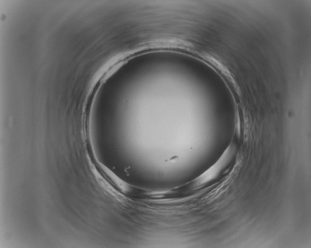 X0000067481342200604071129