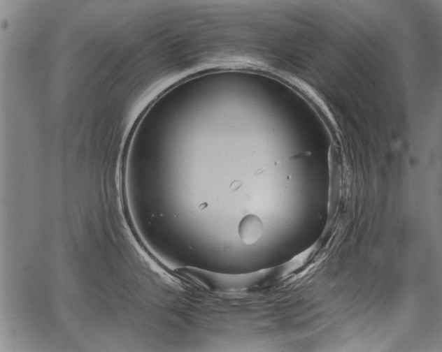 X0000067481343200604071129