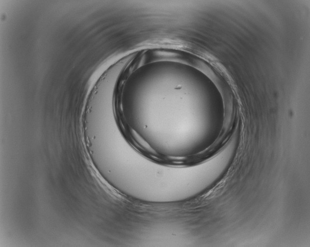 X0000067481344200604071129