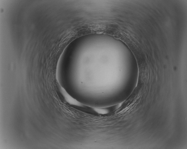 X0000067481345200604071128