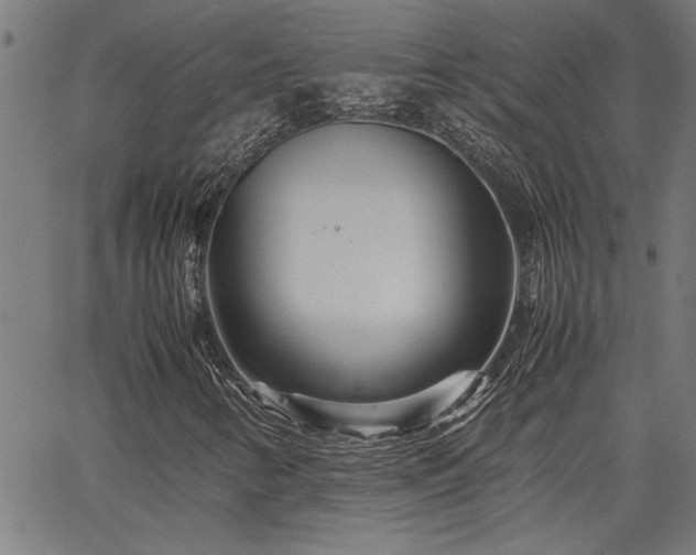 X0000067481346200604071128