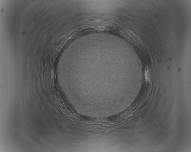 X0000067481347200604071128