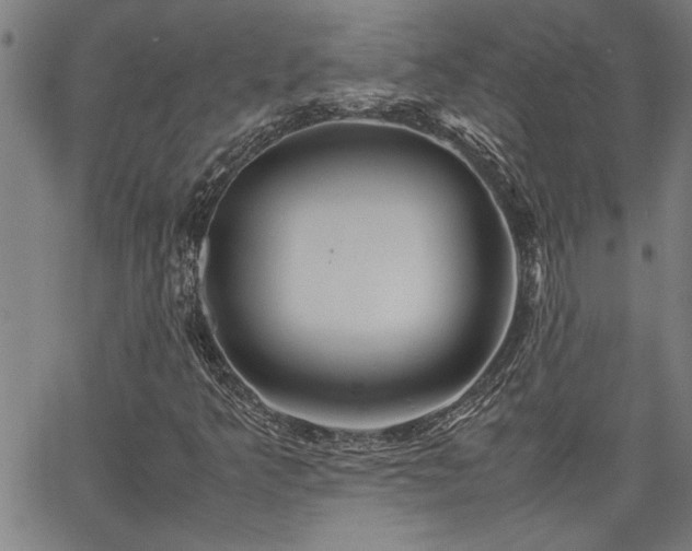 X0000067481349200604071128